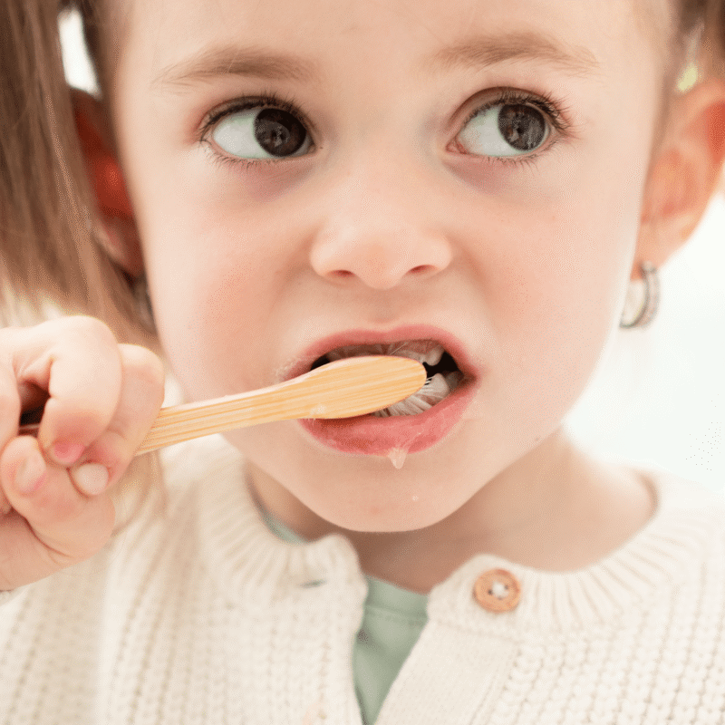 brosse-a-dents-en-bois-enfant-endro-cosmetiques-brosse-a-dents-en-bois-566450.png brosse-a-dents-en-bois-enfant-endro-cosmetiques-brosse-a-dents-en-bois-566450.png